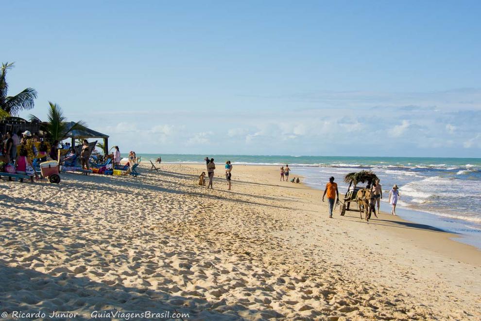 Imagem de turistas de um cavalo com uma charrete na Praia dos coqueiros.